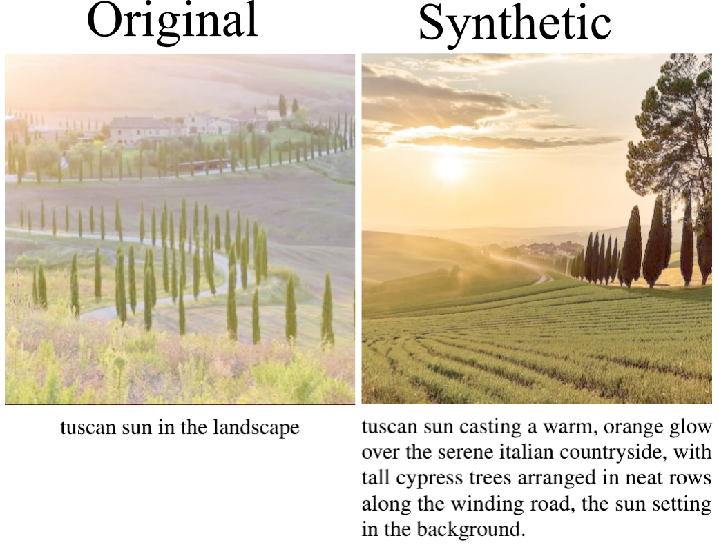 CtrlSynth: Controllable Image-Text Synthesis for Data-Efficient Multimodal Learning